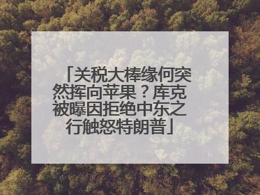 关税大棒缘何突然挥向苹果？库克被曝因拒绝中东之行触怒特朗普