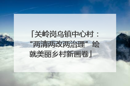 关岭岗乌镇中心村：“两清两改两治理”绘就美丽乡村新画卷