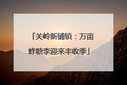 关岭新铺镇：万亩蜂糖李迎来丰收季