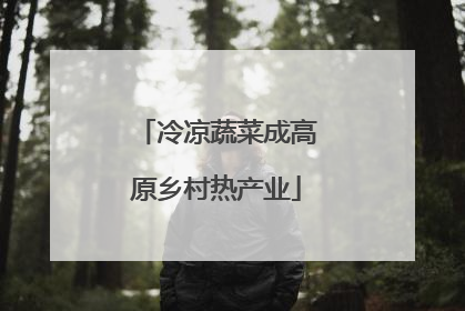 冷凉蔬菜成高原乡村热产业
