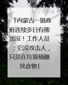 内蒙古一镇政府连续多日有熊出没！工作人员：它没攻击人，只是在垃圾桶翻找食物