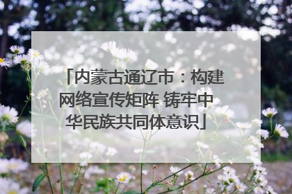 内蒙古通辽市：构建网络宣传矩阵 铸牢中华民族共同体意识