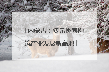 内蒙古：多元协同构筑产业发展新高地