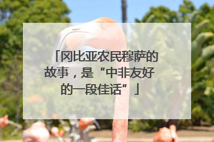 冈比亚农民穆萨的故事，是“中非友好的一段佳话”