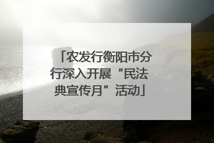 农发行衡阳市分行深入开展“民法典宣传月”活动