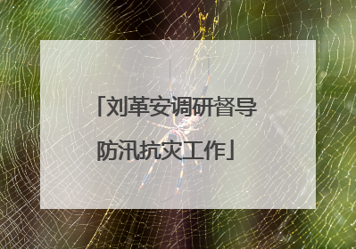 刘革安调研督导防汛抗灾工作