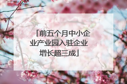 前五个月中小企业产业园入驻企业增长超三成
