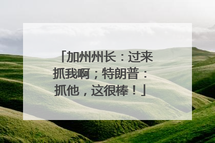 加州州长：过来抓我啊；特朗普：抓他，这很棒！