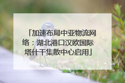 加速布局中亚物流网络：湖北港口汉欧国际塔什干集散中心启用