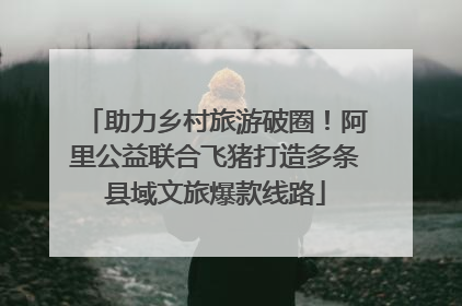 助力乡村旅游破圈！阿里公益联合飞猪打造多条县域文旅爆款线路