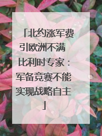 北约涨军费引欧洲不满 比利时专家：军备竞赛不能实现战略自主