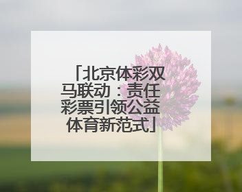 北京体彩双马联动：责任彩票引领公益体育新范式