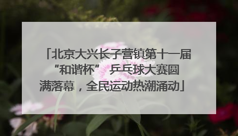 北京大兴长子营镇第十一届 “和谐杯” 乒乓球大赛圆满落幕，全民运动热潮涌动