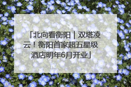 北向看衡阳｜双塔凌云！衡阳首家超五星级酒店明年6月开业