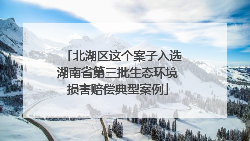 北湖区这个案子入选湖南省第三批生态环境损害赔偿典型案例