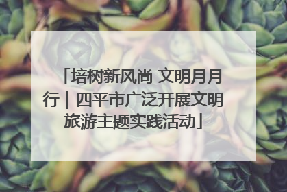 培树新风尚 文明月月行｜四平市广泛开展文明旅游主题实践活动