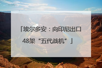 埃尔多安：向印尼出口48架“五代战机”