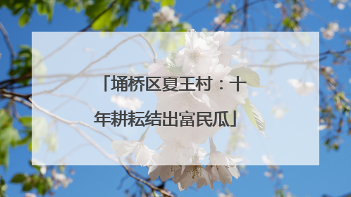 埇桥区夏王村：十年耕耘结出富民瓜