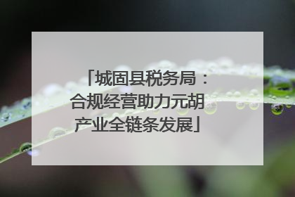 城固县税务局：合规经营助力元胡产业全链条发展