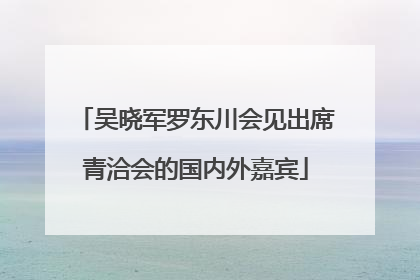 吴晓军罗东川会见出席青洽会的国内外嘉宾
