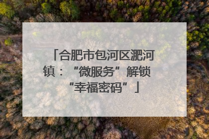 合肥市包河区淝河镇：“微服务”解锁“幸福密码”
