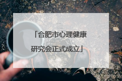 合肥市心理健康研究会正式成立