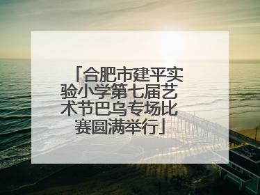 合肥市建平实验小学第七届艺术节巴乌专场比赛圆满举行