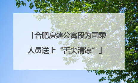 合肥房建公寓段为司乘人员送上“舌尖清凉”