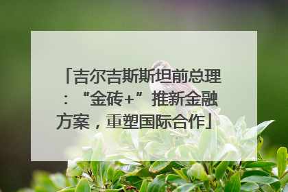吉尔吉斯斯坦前总理：“金砖+”推新金融方案，重塑国际合作