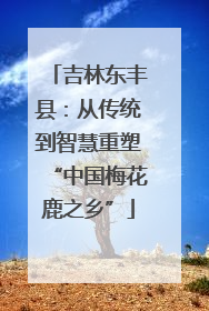 吉林东丰县：从传统到智慧重塑“中国梅花鹿之乡”