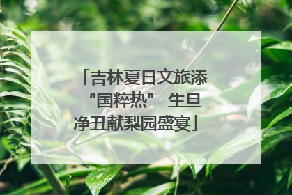吉林夏日文旅添“国粹热” 生旦净丑献梨园盛宴