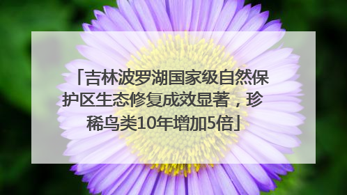 吉林波罗湖国家级自然保护区生态修复成效显著，珍稀鸟类10年增加5倍