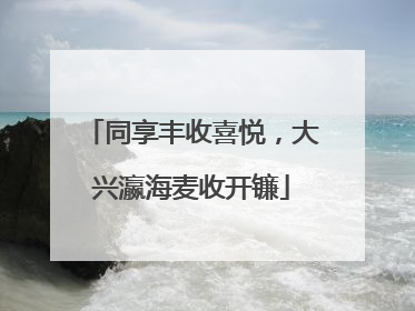 同享丰收喜悦，大兴瀛海麦收开镰