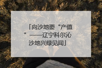 向沙地要“产值”——辽宁科尔沁沙地兴绿见闻