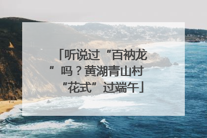 听说过“百衲龙”吗？黄湖青山村“花式”过端午