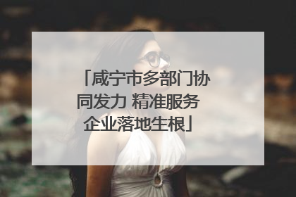 咸宁市多部门协同发力 精准服务企业落地生根