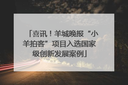 喜讯！羊城晚报“小羊拍客”项目入选国家级创新发展案例