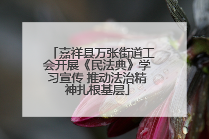 嘉祥县万张街道工会开展《民法典》学习宣传 推动法治精神扎根基层
