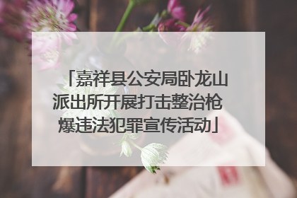 嘉祥县公安局卧龙山派出所开展打击整治枪爆违法犯罪宣传活动