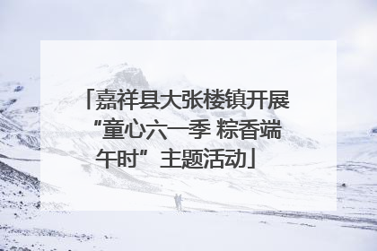 嘉祥县大张楼镇开展“童心六一季 粽香端午时”主题活动