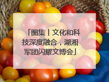 图集丨文化和科技深度融合，湖湘军团闪耀文博会