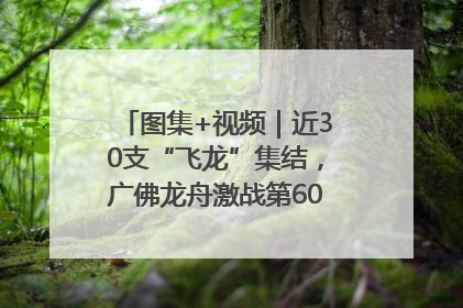 图集+视频｜近30支“飞龙”集结，广佛龙舟激战第60届荔湾“沙溪景”