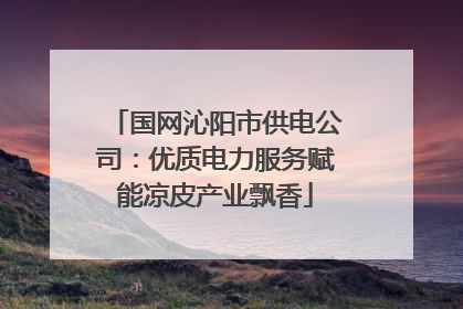 国网沁阳市供电公司：优质电力服务赋能凉皮产业飘香