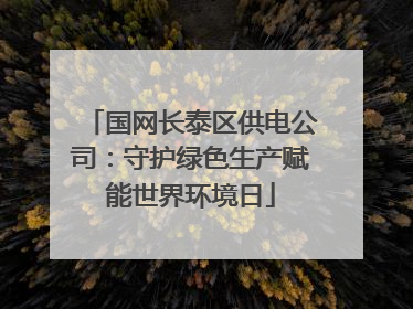 国网长泰区供电公司：守护绿色生产赋能世界环境日