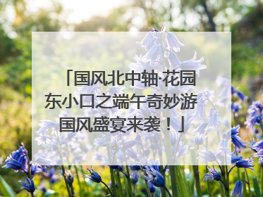 国风北中轴·花园东小口之端午奇妙游国风盛宴来袭！