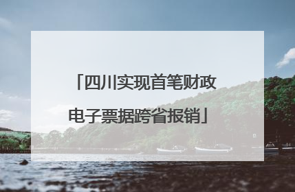 四川实现首笔财政电子票据跨省报销