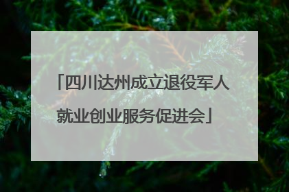 四川达州成立退役军人就业创业服务促进会