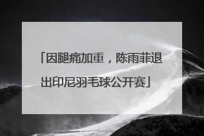 因腿痛加重，陈雨菲退出印尼羽毛球公开赛