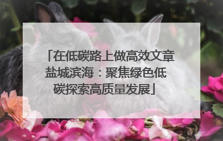 在低碳路上做高效文章 盐城滨海：聚焦绿色低碳探索高质量发展