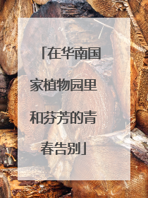 在华南国家植物园里和芬芳的青春告别